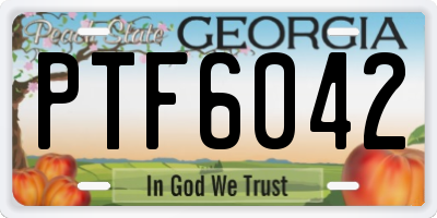 GA license plate PTF6042