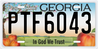 GA license plate PTF6043