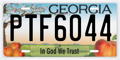 GA license plate PTF6044