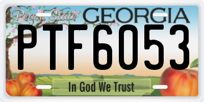 GA license plate PTF6053