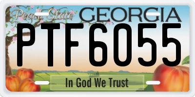 GA license plate PTF6055