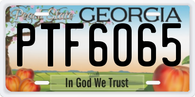 GA license plate PTF6065