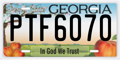 GA license plate PTF6070