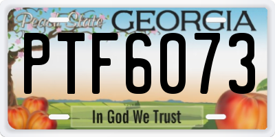 GA license plate PTF6073