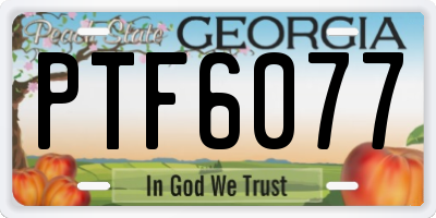 GA license plate PTF6077