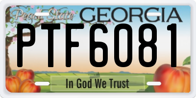 GA license plate PTF6081