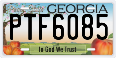 GA license plate PTF6085