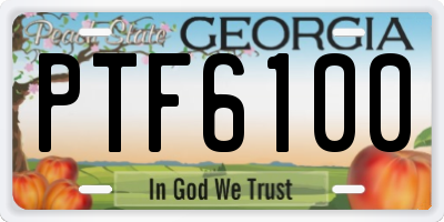 GA license plate PTF6100