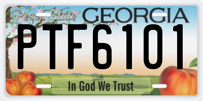 GA license plate PTF6101