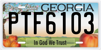GA license plate PTF6103