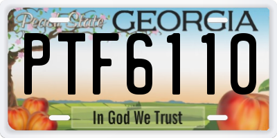 GA license plate PTF6110