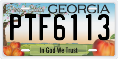 GA license plate PTF6113