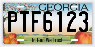 GA license plate PTF6123