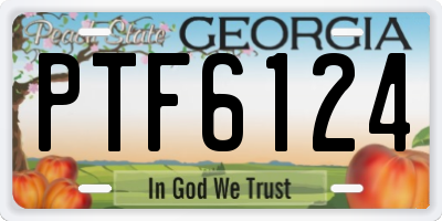 GA license plate PTF6124