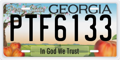 GA license plate PTF6133