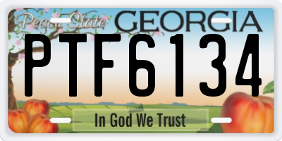 GA license plate PTF6134