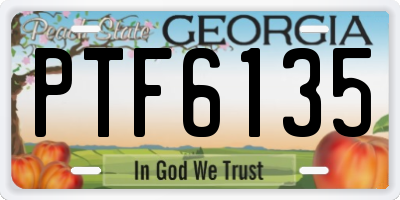 GA license plate PTF6135