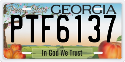 GA license plate PTF6137