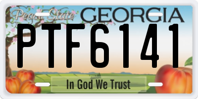 GA license plate PTF6141