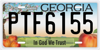 GA license plate PTF6155