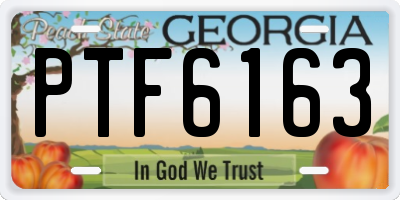 GA license plate PTF6163