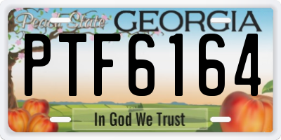 GA license plate PTF6164