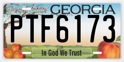 GA license plate PTF6173