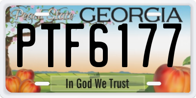 GA license plate PTF6177