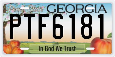 GA license plate PTF6181