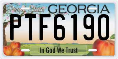 GA license plate PTF6190