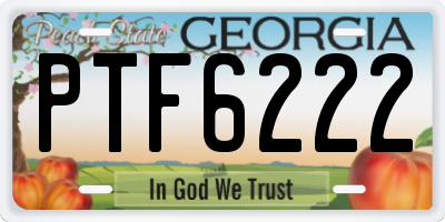 GA license plate PTF6222