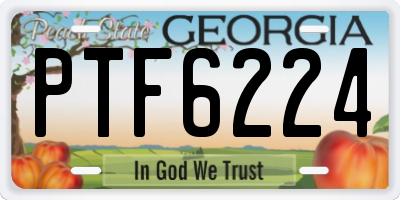 GA license plate PTF6224