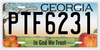 GA license plate PTF6231