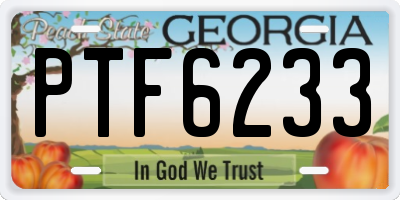 GA license plate PTF6233