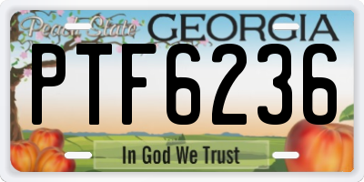GA license plate PTF6236