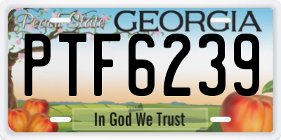 GA license plate PTF6239