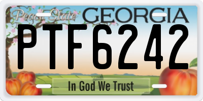 GA license plate PTF6242