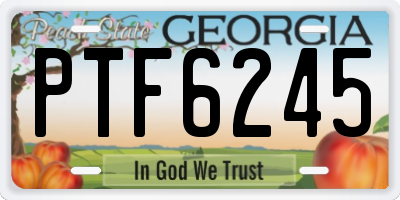 GA license plate PTF6245