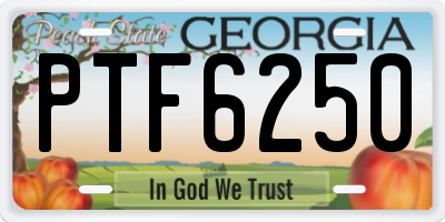 GA license plate PTF6250