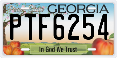 GA license plate PTF6254