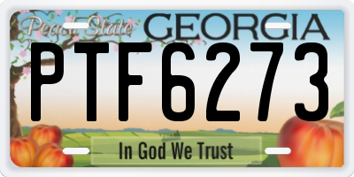 GA license plate PTF6273