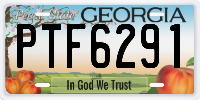 GA license plate PTF6291