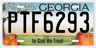 GA license plate PTF6293