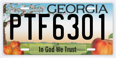 GA license plate PTF6301