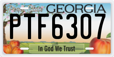 GA license plate PTF6307