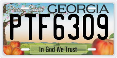 GA license plate PTF6309