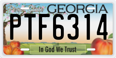 GA license plate PTF6314