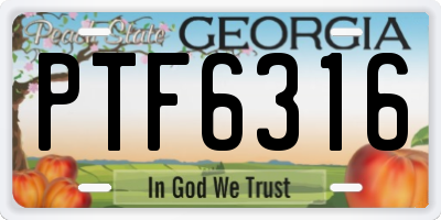 GA license plate PTF6316