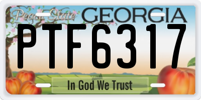 GA license plate PTF6317