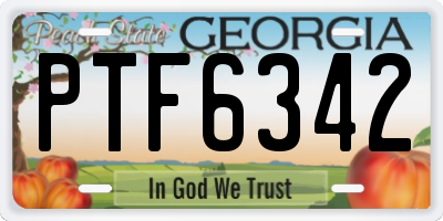 GA license plate PTF6342